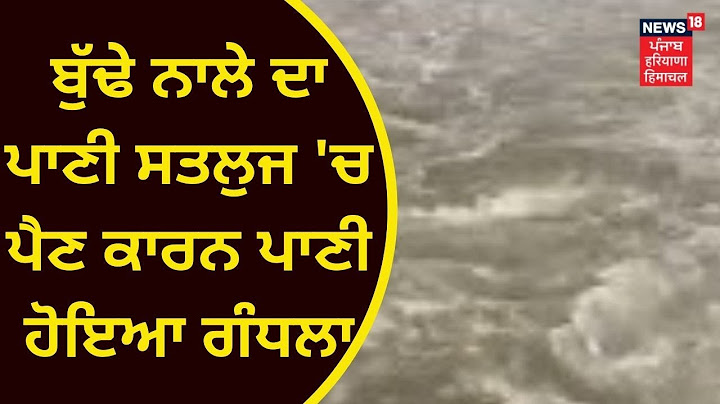 Budha Nala : ਬੁੱਢੇ ਨਾਲੇ ਦਾ ਪਾਣੀ ਸਤਲੁਜ 'ਚ ਪੈਣ ਕਾਰਨ ਪਾਣੀ ਹੋਇਆ ਗੰਧਲਾ | News18 Punjab