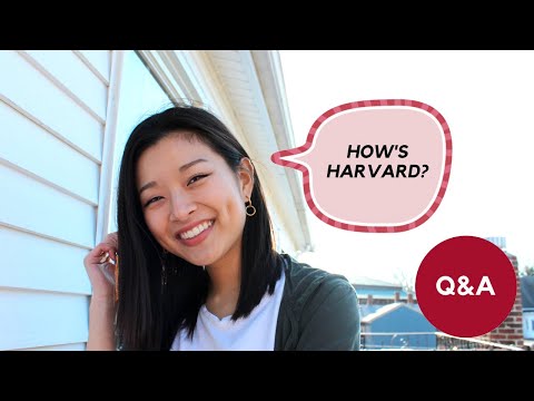 Q&A | how's