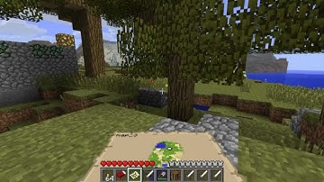 SP Minecraft Adventure- Wood Element Part 1