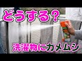 カメムシの駆除方法から洗濯物やお布団についたカメムシ対策方法！洗濯物やお布団についたカメムシも安心して駆除出来るカメムシコロリ！カメムシが嫌な臭いを出す前に瞬殺スプレー！！