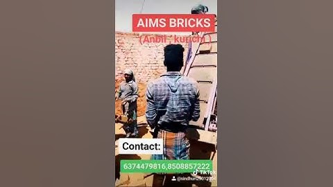 Aims Bricks   Unloading Raw Bricks