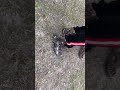 Buti Kaliрџ ‍в пёЏрџ ‍в пёЏ Buti Kaliрџ ‍в пёЏрџ ‍в пёЏ