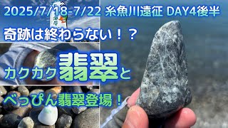 2025.8.31海霊イカ 糸魚川グレ翡翠 2025.8.31海霊イカ 糸魚川