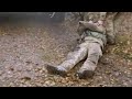 The War Music By Natascha Majevskaja When The Stones Cry 