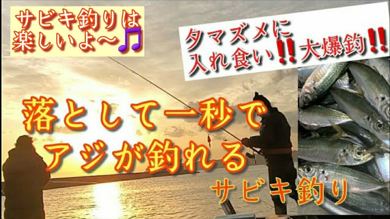 落として一秒でアジが釣れる 夕マズメにアジとサバを釣りまくれ サビキ釣りは楽しいよ Youtube