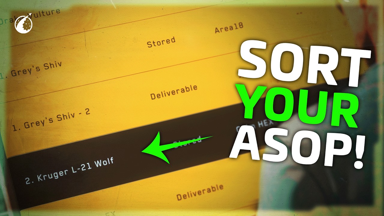 Sort Your Ships How YOU Want! | Star Citizen user-made tools