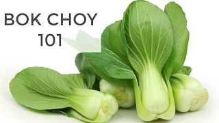 Bok Choy 101 | Everything You Need to Know