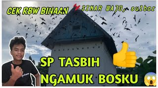 RBW BINAAN WALET BAROKAH SINAR WAJO JOZZ👍