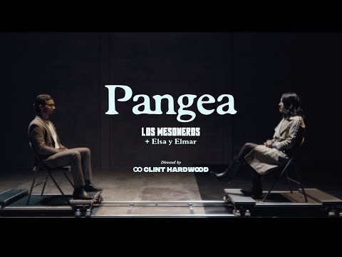 Los Mesoneros & Elsa Y Elmar - Pangea