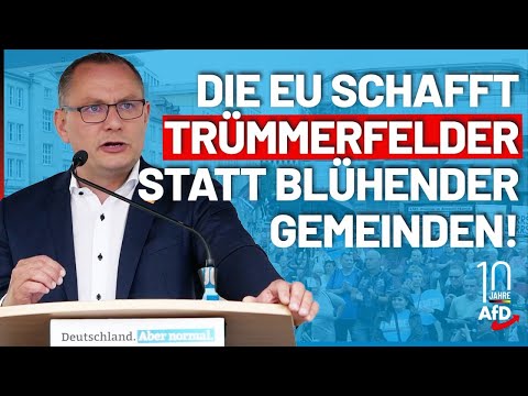 AfD Duftbaum in Mecklenburg-Vorpommern - Stralsund