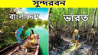 Indian sundarbans travel guide vs Bangladeshi sundarbans travel guide 2020 || screenshot 3