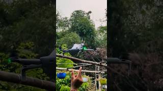 DJI Mini 5 Pro Drone Safe Landing Demo || DJI Mini 5 Pro #djidrone #shorts #dji #drone #djimini5pro