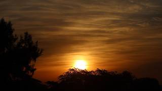 10 Hours of Gentle Wind Sounds π¬οΈ | Golden Sunset Ambience for Sleep & Relaxation
