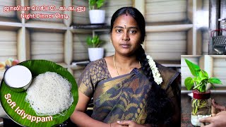 பூப்போல இடியாப்பம் செய்யலாம் வாங்க | Soft Idiyappam & Thengai Paal Recipe | TIFFIN RECIPE