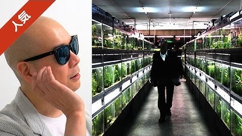 宇多丸が園子音監督による映画「冷たい熱帯魚」を激賞