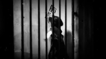 NONE - What if I Slept a Little More and Forgot About All This Nonsense (Official Video)