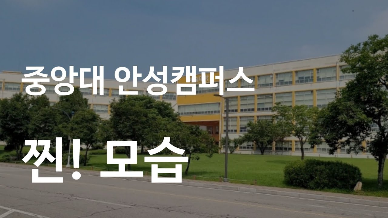 중앙대 이원화 캠퍼스 안성 중앙대학교 진짜 모습은..