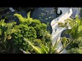 Water Efficiency at Home | National Geographic