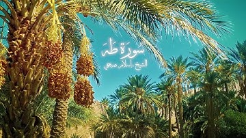 سورة طه _ تلاوة خاشعة وراحة للقلب و النفس _ قرآن كريم 