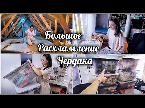 Расхламление всего дома / Мотивация на уборку / Организация и Хранение / Избавляюсь от хлама
