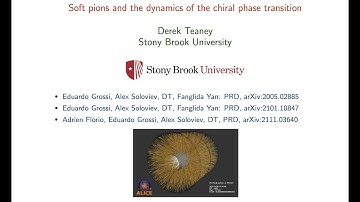 Soft pions and the dynamics of the chiral phase transition