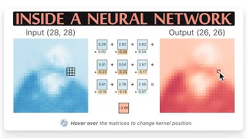 How Do Neural Networks Learn? 🤖
