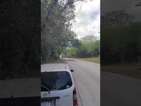 QUICK PASS