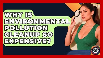 Why Is Environmental Pollution Cleanup So Expensive? - The Everyday Why