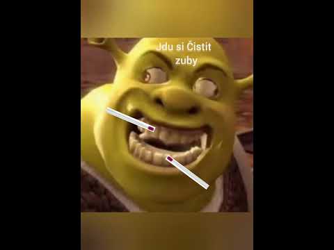 Moje cesta do
