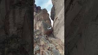 Bride and groom rappelling down from getting married at Smith Rock, Oregon. #wedding #weddings
