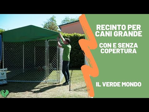 Video: Quanto deve essere grande un recinto per cani?