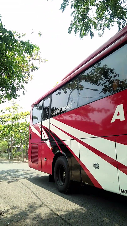 Agra Mas BM 126 'AL - JABER'