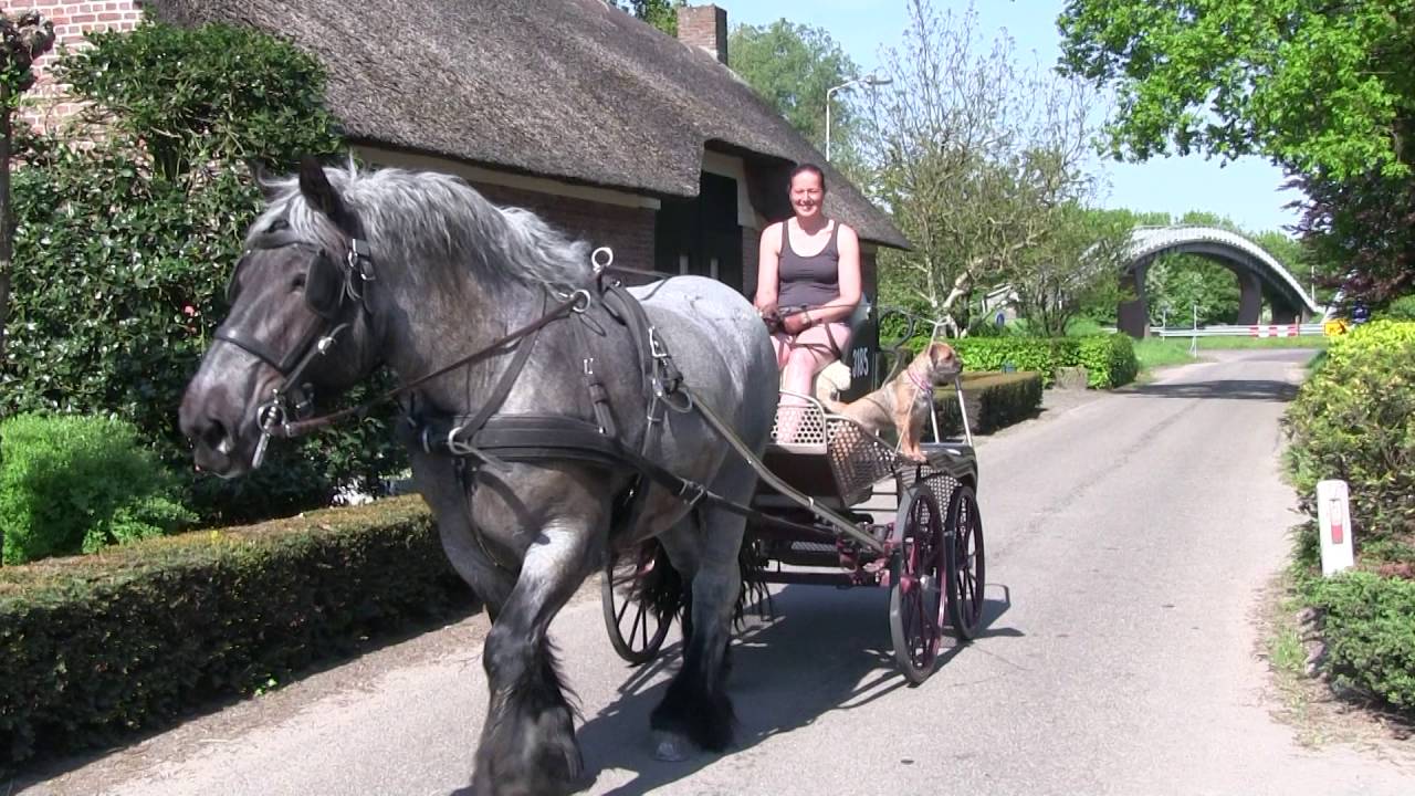 rondom Oud Gastel 2 08 05 2016 YouTube