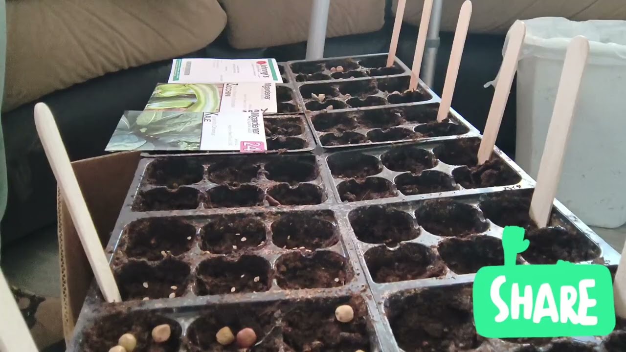Seed starting 