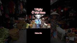 Vlog Của Krog | #vlog #veo3 #ufo