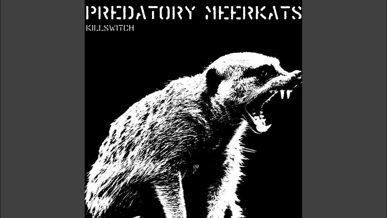 YouTubeでFlash Fire (Original Mix)を視聴