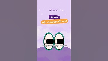 Con người - Vì sao mắt nhìn được đồ vật. #eteacher #giasu #GiaSuDinhCao