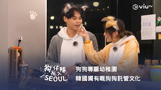 《狗仔隊亂入Seoul》狗狗專屬幼稚園🎒韓國獨有嘅狗狗託管文化🐶