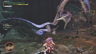 [MHWilds][PS5] 20250429 히라바미 대검