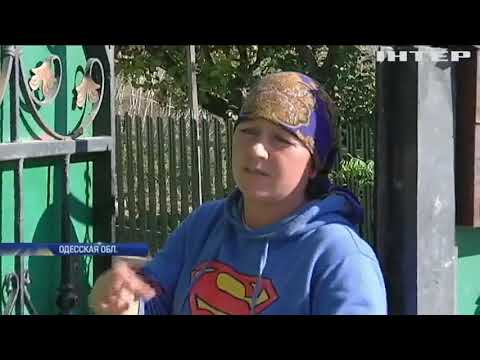 Когда появился сибирский язва