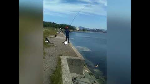 Câu tráp biển ở địa điểm mới và cái kết tuyệt vời ông mặt trời.