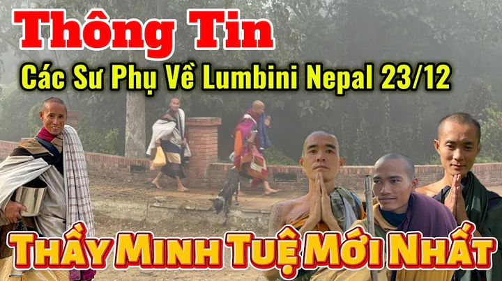 Teacher Minh Tue & Latest Updates from Other Masters | Information on the Masters Returning to Lu...