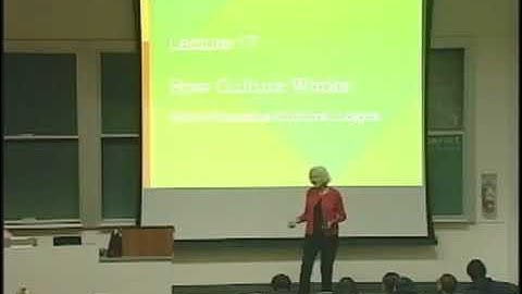 How Culture Works: What Sustains Cultural Logics | Sociology 1 | Lecture 21