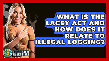 What Is The Lacey Act And How Does It Relate To Illegal Logging? - Ecosystem Essentials
