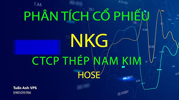 Cổ phiếu NKG | Định giá phân tích công ty cổ phần thép Nam Kim