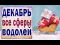 ВОДОЛЕЙ 🎄 ДЕКАБРЬ 2020 (РАБОТА, ЛЮБОВЬ, ДЕНЬГИ, ДОМ, СЮРПРИЗ, СОВЕТ) Таро прогноз гороскоп