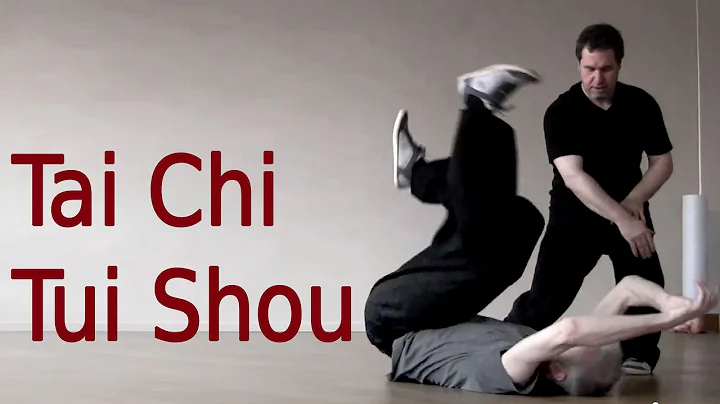 Tai Chi Tui Shou Training