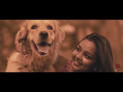 Pet Fed 2017 Powered by Dogsee | Official Trailer