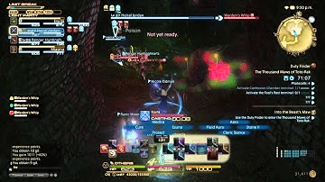 FINAL FANTASY XIV: A Realm Reborn - Into the Beast