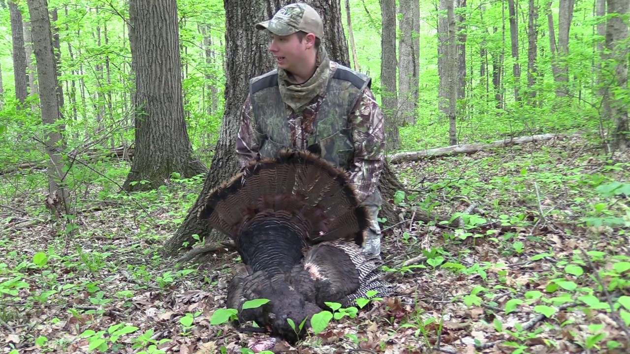 Public Land Turkey Hunting 2017 Indiana hunting YouTube